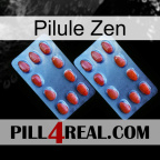 Zen Pill 05